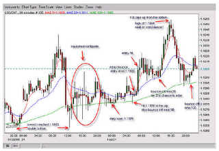Bgx system forex